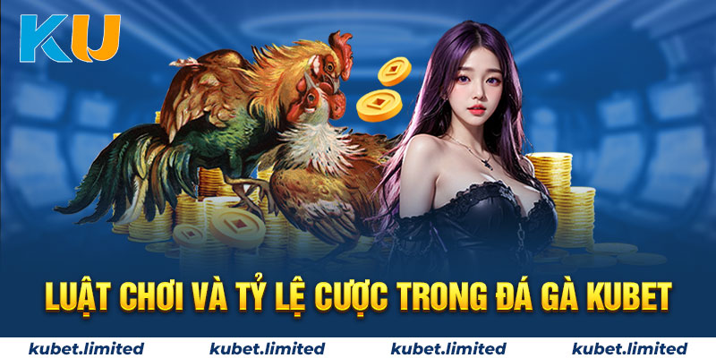 Luật cược và cách tham gia tại Kubet